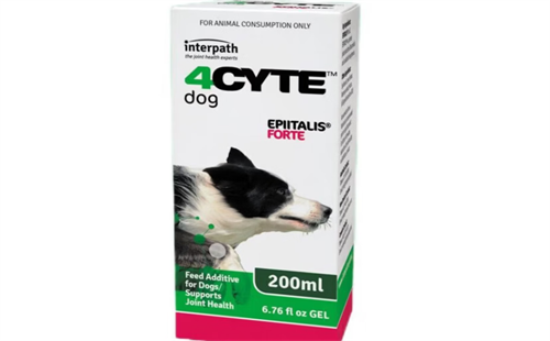 四赛特4CYTE