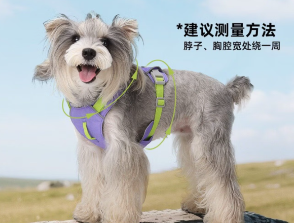 朵猫猫工字胸背好不好用？不勒脖安全牵引解析