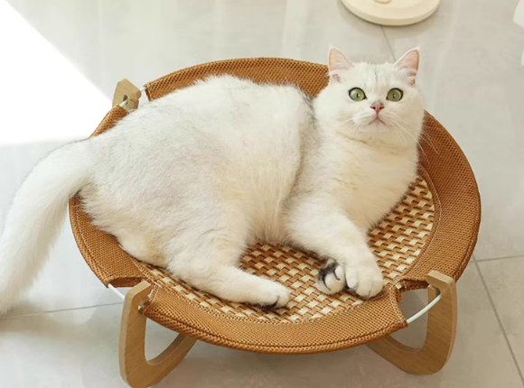 兰衍藤编猫窝耐用吗?圆角行军床款实测,凉席面夏天真能省空调钱? 兰衍藤编猫窝耐用吗?圆角行军床款实测,凉席面夏天真能省空调钱?