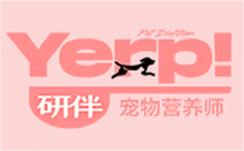 研伴Yerp