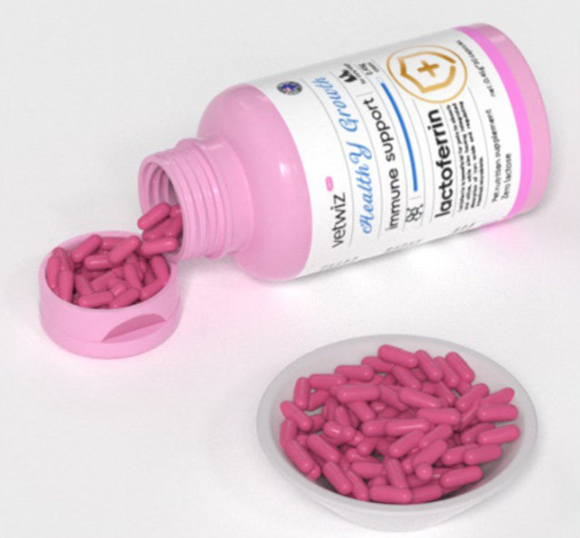 VetWiz乳铁蛋白益生菌狗狗术后恢复有用吗?0乳糖更省心 VetWiz乳铁蛋白益生菌狗狗术后恢复有用吗?0乳糖更省心