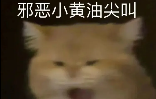 社牛猫坐火车，全车乘客挨个贴贴！主人：我想原地跳车