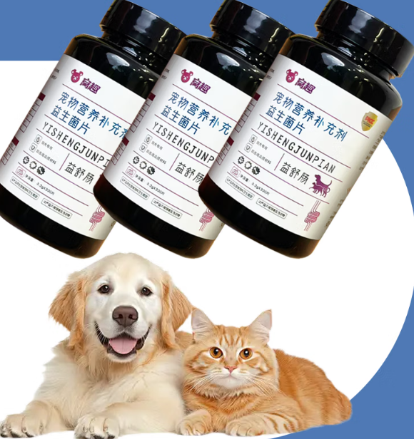窝趣宠物益生菌比普通肠胃调理品好用吗?家庭养宠常备好物 窝趣宠物益生菌比普通肠胃调理品好用吗?家庭养宠常备好物