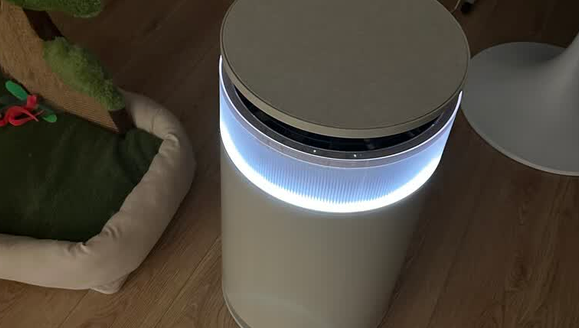 追觅宠物属于什么档次