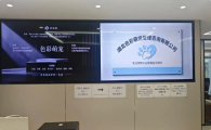 色彩萌宠是什么公司
