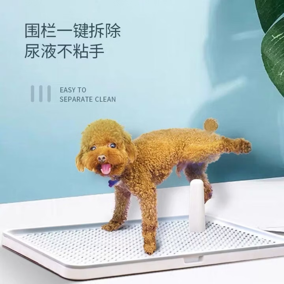狗狗定点厕所品牌怎么选?莘缤打造定点如厕好习惯 狗狗定点厕所品牌怎么选?莘缤打造定点如厕好习惯