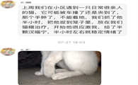 宠物专用药品品牌推荐汉维宠仕汉喵宁,猫咪抗应激的真实使用体验