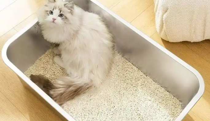 短云猫砂盆空间大吗