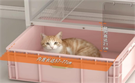 喵喵堡垒猫砂盆租房用合适吗