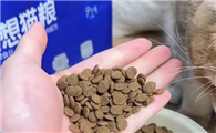 理想与它猫粮哪个国家的品牌