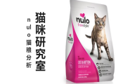 Nulo发布养猫家庭调研结果