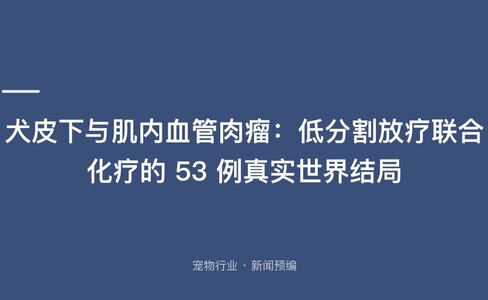 犬皮下与肌内血管肉瘤：低分割放疗联合化疗的 53 例真实世界结局