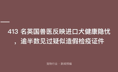 413 名英国兽医反映进口犬健康隐忧，逾半数见过疑似造假检疫证件