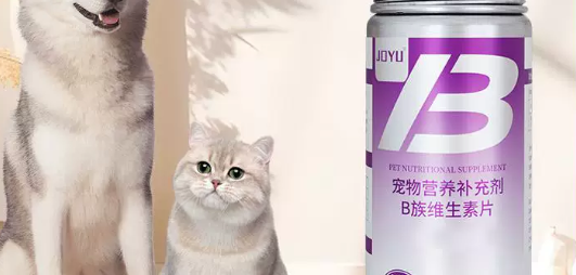 宠物日常营养怎么补？乔羽joyuB族维生素片，毛发皮肤养护好帮手
