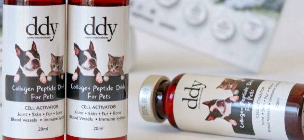 想要呵护毛孩子皮毛？DDY Pet 胜肽胶原蛋白值得入手！