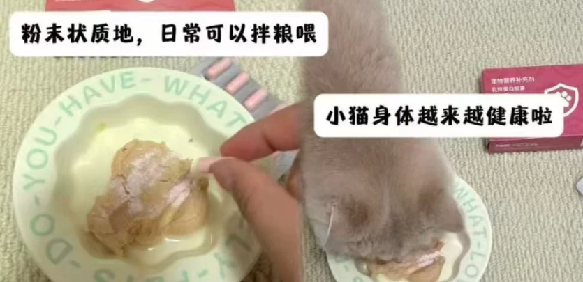 宠物怎么做好防护补给?咘叮咘叮乳铁蛋白放心安排! 宠物怎么做好防护补给?咘叮咘叮乳铁蛋白放心安排!