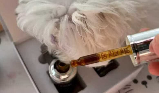 调理泪痕嫌操作麻烦?LESITEL乐赛通泪痕清口服液,简单喂养轻松养护 调理泪痕嫌操作麻烦?LESITEL乐赛通泪痕清口服液,简单喂养轻松养护