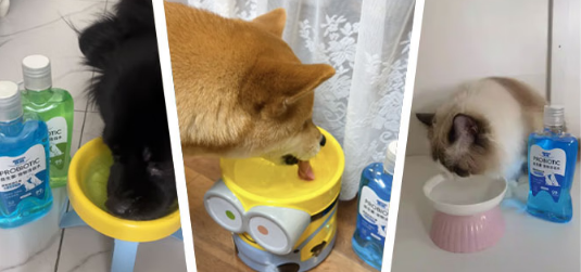 喜萌宠Himonshow宠物漱口水有副作用吗