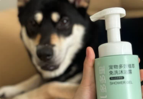 多多里全套洗护值得入吗 多多里全套洗护值得入吗
