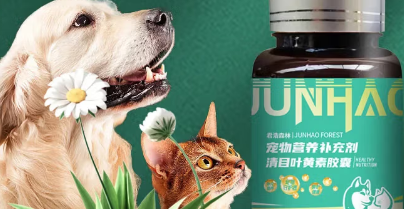 想呵护宠物眼睛选什么？君浩森林JUNHAO叶黄素胶囊，温和护眼守护光彩