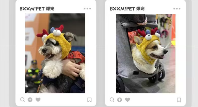 BXXMPET爆宠是进口的吗