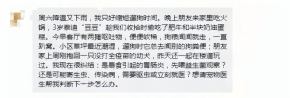 泰迪偷吃肥牛蛋糕后呕吐软便需要立刻就医吗？