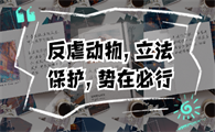 韩国动物保护法新设虐待者最高5年禁养令