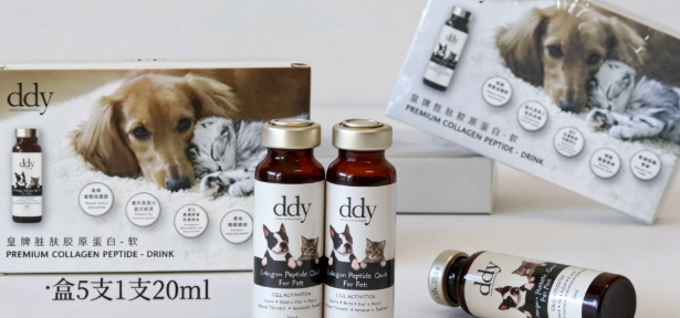 想要呵护毛孩子皮毛？DDY Pet 胜肽胶原蛋白值得入手！