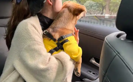 独居女生把狗当命根子,狗突然龇牙低吼,愣在原地 独居女生把狗当命根子,狗突然龇牙低吼,愣在原地