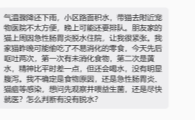 猫咪偷吃零食后吐两次黄水,先观察还是就医?