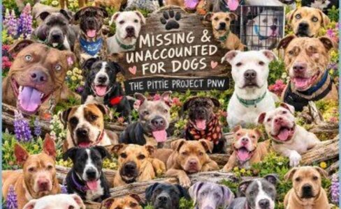 斗牛犬宣传月背后：Ohio 明星倡导者 Baldwin 上诉被驳，15.5 年刑期不变