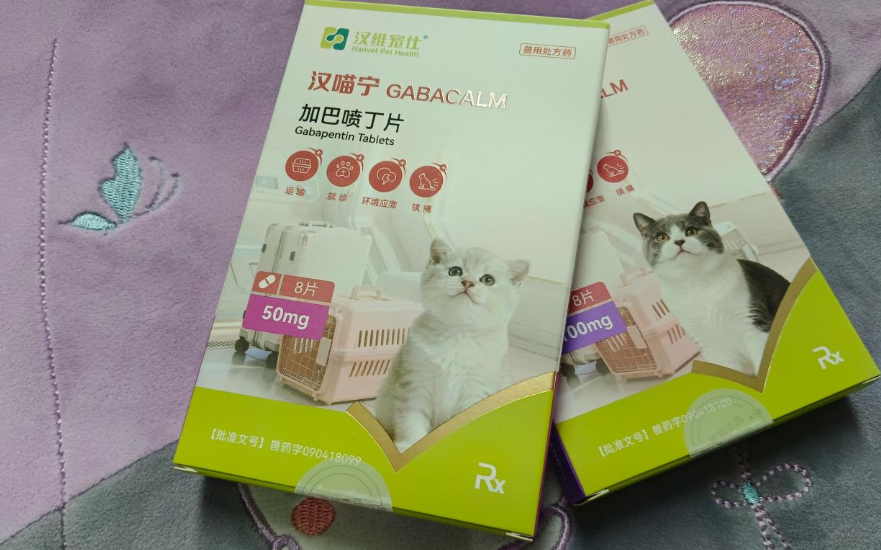 宠物专用药品品牌哪个出名？且看我家“暴躁大佬”出门记
