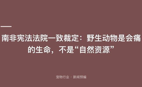 南非宪法法院一致裁定：野生动物是会痛的生命，不是“自然资源”