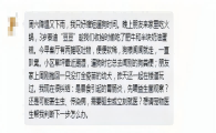 泰迪偷吃肥牛蛋糕后呕吐软便需要立刻就医吗？
