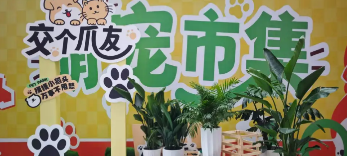 从20亿到70亿，连云港“宠”爱加倍