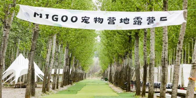 森林王国Migoo需要预约吗 森林王国Migoo需要预约吗