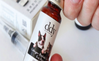 给毛孩子补营养怕踩坑？DDY Pet 胜肽胶原蛋白安心可选！